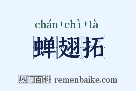 蝉翅拓是什么意思的图片